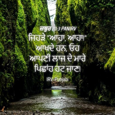 Picture 04 - ਜ਼ਬੂਰ 70:3 PANIRV - ਜਿਹੜੇ “ਆਹਾ, ਆਹਾ!” - Bible Verse Picture