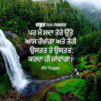 Picture 04 - ਜ਼ਬੂਰ 71:14 PANIRV - ਪਰ ਮੈਂ ਸਦਾ ਤੇਰੇ - Bible Verse Picture