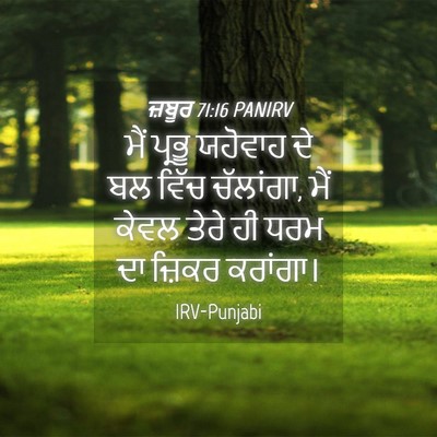 Picture 04 - ਜ਼ਬੂਰ 71:16 PANIRV - ਮੈਂ ਪ੍ਰਭੂ ਯਹੋਵਾਹ - Bible Verse Picture