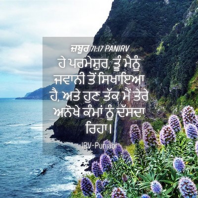 Picture 04 - ਜ਼ਬੂਰ 71:17 PANIRV - ਹੇ ਪਰਮੇਸ਼ੁਰ, ਤੂੰ - Bible Verse Picture