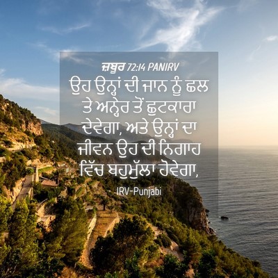 Picture 04 - ਜ਼ਬੂਰ 72:14 PANIRV - ਉਹ ਉਨ੍ਹਾਂ ਦੀ ਜਾਨ - Bible Verse Picture