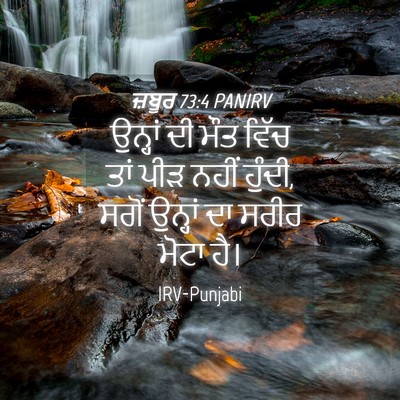 Picture 04 - ਜ਼ਬੂਰ 73:4 PANIRV - ਉਨ੍ਹਾਂ ਦੀ ਮੌਤ ਵਿੱਚ - Bible Verse Picture