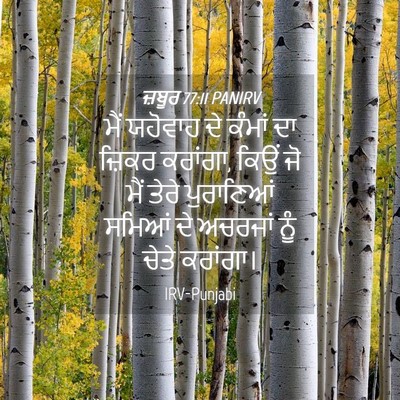 Picture 04 - ਜ਼ਬੂਰ 77:11 PANIRV - ਮੈਂ ਯਹੋਵਾਹ ਦੇ - Bible Verse Picture