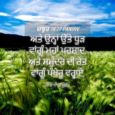 Picture 04 - ਜ਼ਬੂਰ 78:27 PANIRV - ਅਤੇ ਉਨ੍ਹਾਂ ਉੱਤੇ - Bible Verse Picture