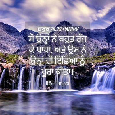 Picture 04 - ਜ਼ਬੂਰ 78:29 PANIRV - ਸੋ ਉਨ੍ਹਾਂ ਨੇ ਬਹੁਤ - Bible Verse Picture