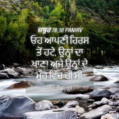 Picture 04 - ਜ਼ਬੂਰ 78:30 PANIRV - ਓਹ ਆਪਣੀ ਹਿਰਸ ਤੋਂ - Bible Verse Picture