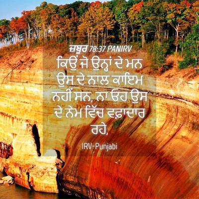 Picture 04 - ਜ਼ਬੂਰ 78:37 PANIRV - ਕਿਉਂ ਜੋ ਉਨ੍ਹਾਂ ਦੇ - Bible Verse Picture