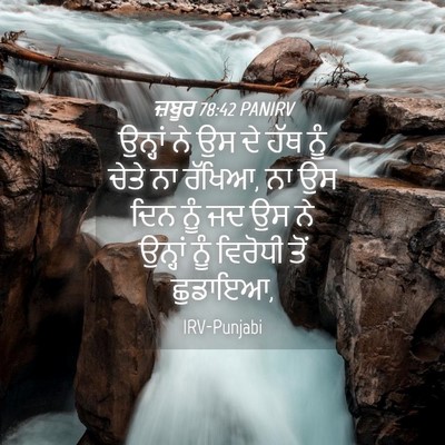 Picture 04 - ਜ਼ਬੂਰ 78:42 PANIRV - ਉਨ੍ਹਾਂ ਨੇ ਉਸ ਦੇ ਹੱਥ - Bible Verse Picture