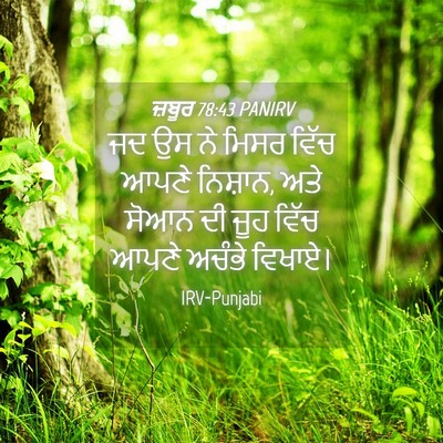 Picture 04 - ਜ਼ਬੂਰ 78:43 PANIRV - ਜਦ ਉਸ ਨੇ ਮਿਸਰ ਵਿੱਚ - Bible Verse Picture