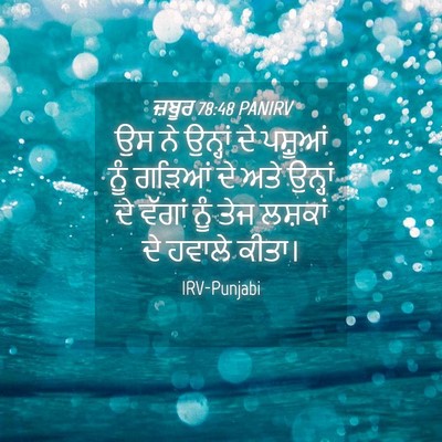 Picture 04 - ਜ਼ਬੂਰ 78:48 PANIRV - ਉਸ ਨੇ ਉਨ੍ਹਾਂ ਦੇ - Bible Verse Picture