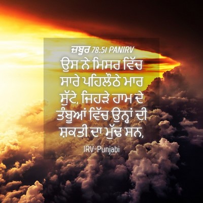 Picture 04 - ਜ਼ਬੂਰ 78:51 PANIRV - ਉਸ ਨੇ ਮਿਸਰ ਵਿੱਚ - Bible Verse Picture