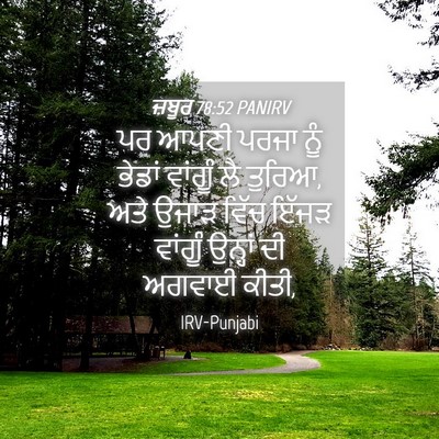 Picture 04 - ਜ਼ਬੂਰ 78:52 PANIRV - ਪਰ ਆਪਣੀ ਪਰਜਾ ਨੂੰ - Bible Verse Picture