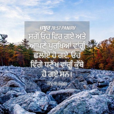 Picture 04 - ਜ਼ਬੂਰ 78:57 PANIRV - ਸਗੋਂ ਓਹ ਫਿਰ ਗਏ ਅਤੇ - Bible Verse Picture