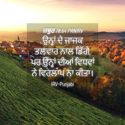 Picture 04 - ਜ਼ਬੂਰ 78:64 PANIRV - ਉਨ੍ਹਾਂ ਦੇ ਜਾਜਕ - Bible Verse Picture