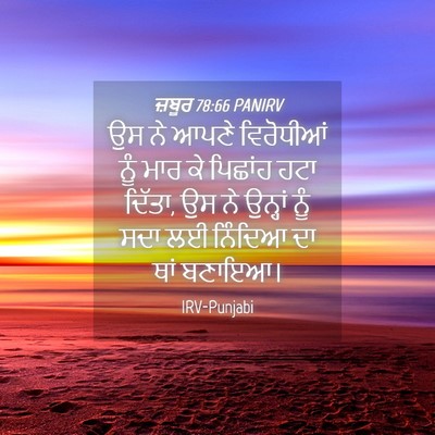 Picture 04 - ਜ਼ਬੂਰ 78:66 PANIRV - ਉਸ ਨੇ ਆਪਣੇ - Bible Verse Picture