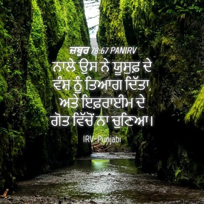 Picture 04 - ਜ਼ਬੂਰ 78:67 PANIRV - ਨਾਲੇ ਉਸ ਨੇ ਯੂਸੁਫ਼ - Bible Verse Picture