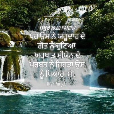 Picture 04 - ਜ਼ਬੂਰ 78:68 PANIRV - ਪਰ ਉਸ ਨੇ ਯਹੂਦਾਹ ਦੇ - Bible Verse Picture
