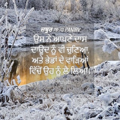 Picture 04 - ਜ਼ਬੂਰ 78:70 PANIRV - ਉਸ ਨੇ ਆਪਣੇ ਦਾਸ ਦਾਊਦ - Bible Verse Picture