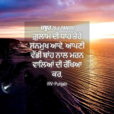 Picture 04 - ਜ਼ਬੂਰ 79:11 PANIRV - ਗ਼ੁਲਾਮ ਦੀ ਧਾਹ ਤੇਰੇ - Bible Verse Picture