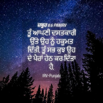 Picture 04 - ਜ਼ਬੂਰ 8:6 PANIRV - ਤੂੰ ਆਪਣੀ ਦਸਤਕਾਰੀ - Bible Verse Picture