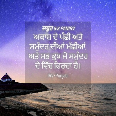Picture 04 - ਜ਼ਬੂਰ 8:8 PANIRV - ਅਕਾਸ਼ ਦੇ ਪੰਛੀ ਅਤੇ - Bible Verse Picture