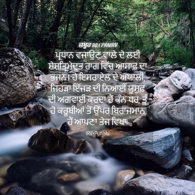 Picture 04 - ਜ਼ਬੂਰ 80:1 PANIRV - ਪ੍ਰਧਾਨ ਵਜਾਉਣ ਵਾਲੇ - Bible Verse Picture