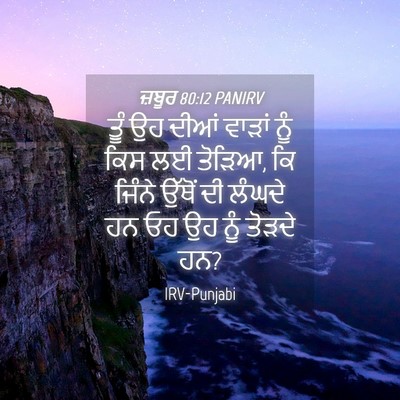 Picture 04 - ਜ਼ਬੂਰ 80:12 PANIRV - ਤੂੰ ਉਹ ਦੀਆਂ ਵਾੜਾਂ - Bible Verse Picture
