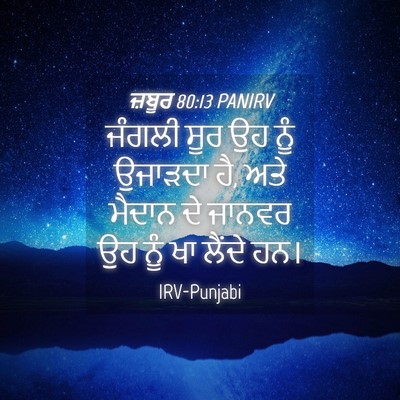 Picture 04 - ਜ਼ਬੂਰ 80:13 PANIRV - ਜੰਗਲੀ ਸੂਰ ਉਹ ਨੂੰ - Bible Verse Picture
