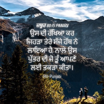 Picture 04 - ਜ਼ਬੂਰ 80:15 PANIRV - ਉਸ ਦੀ ਰੱਖਿਆ ਕਰ - Bible Verse Picture