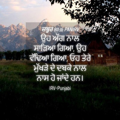 Picture 04 - ਜ਼ਬੂਰ 80:16 PANIRV - ਉਹ ਅੱਗ ਨਾਲ ਸਾੜਿਆ - Bible Verse Picture