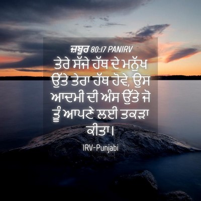 Picture 04 - ਜ਼ਬੂਰ 80:17 PANIRV - ਤੇਰੇ ਸੱਜੇ ਹੱਥ ਦੇ - Bible Verse Picture