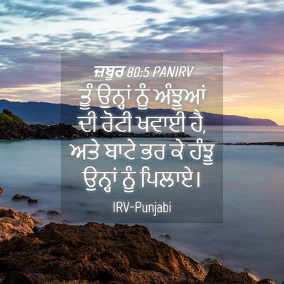 Picture 04 - ਜ਼ਬੂਰ 80:5 PANIRV - ਤੂੰ ਉਨ੍ਹਾਂ ਨੂੰ - Bible Verse Picture