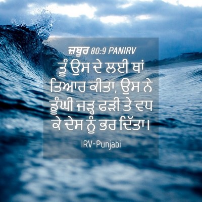 Picture 04 - ਜ਼ਬੂਰ 80:9 PANIRV - ਤੂੰ ਉਸ ਦੇ ਲਈ ਥਾਂ - Bible Verse Picture