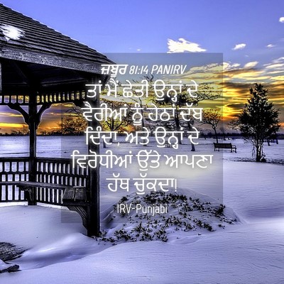 Picture 04 - ਜ਼ਬੂਰ 81:14 PANIRV - ਤਾਂ ਮੈਂ ਛੇਤੀ - Bible Verse Picture