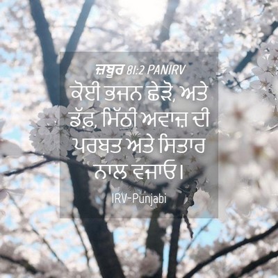 Picture 04 - ਜ਼ਬੂਰ 81:2 PANIRV - ਕੋਈ ਭਜਨ ਛੇੜੋ, ਅਤੇ - Bible Verse Picture