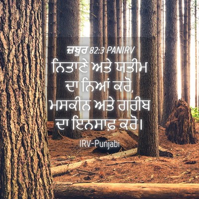 Picture 04 - ਜ਼ਬੂਰ 82:3 PANIRV - ਨਿਤਾਣੇ ਅਤੇ ਯਤੀਮ ਦਾ - Bible Verse Picture