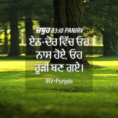 Picture 04 - ਜ਼ਬੂਰ 83:10 PANIRV - ਏਨ-ਦੋਰ ਵਿੱਚ ਓਹ ਨਾਸ - Bible Verse Picture