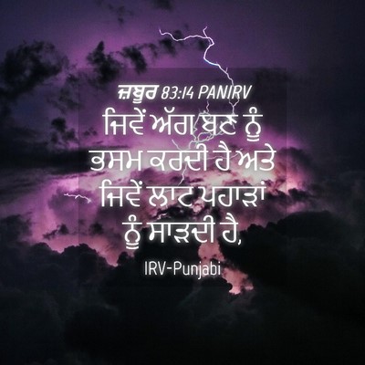 Picture 04 - ਜ਼ਬੂਰ 83:14 PANIRV - ਜਿਵੇਂ ਅੱਗ ਬਣ ਨੂੰ - Bible Verse Picture