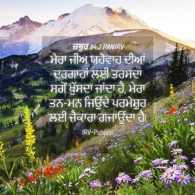 Picture 04 - ਜ਼ਬੂਰ 84:2 PANIRV - ਮੇਰਾ ਜੀਅ ਯਹੋਵਾਹ - Bible Verse Picture