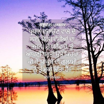 Picture 04 - ਜ਼ਬੂਰ 85:1 PANIRV - ਪ੍ਰਧਾਨ ਵਜਾਉਣ ਵਾਲੇ - Bible Verse Picture