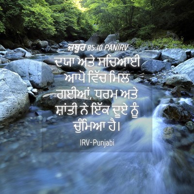 Picture 04 - ਜ਼ਬੂਰ 85:10 PANIRV - ਦਯਾ ਅਤੇ ਸਚਿਆਈ ਆਪੋ - Bible Verse Picture