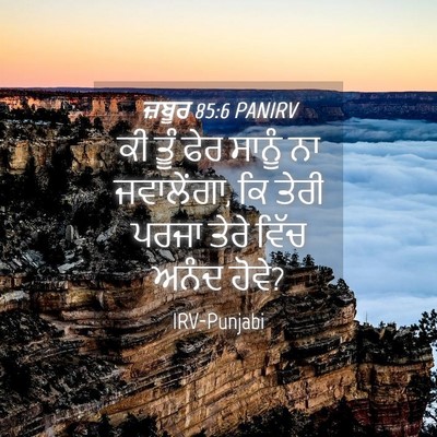 Picture 04 - ਜ਼ਬੂਰ 85:6 PANIRV - ਕੀ ਤੂੰ ਫੇਰ ਸਾਨੂੰ ਨਾ - Bible Verse Picture