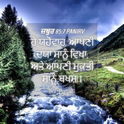Picture 04 - ਜ਼ਬੂਰ 85:7 PANIRV - ਹੇ ਯਹੋਵਾਹ, ਆਪਣੀ ਦਯਾ - Bible Verse Picture