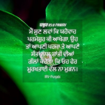 Picture 04 - ਜ਼ਬੂਰ 85:8 PANIRV - ਮੈਂ ਸੁਣ ਲਵਾਂ ਕਿ - Bible Verse Picture