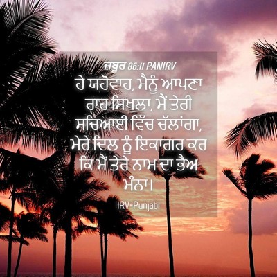 Picture 04 - ਜ਼ਬੂਰ 86:11 PANIRV - ਹੇ ਯਹੋਵਾਹ, ਮੈਨੂੰ - Bible Verse Picture