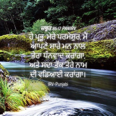 Picture 04 - ਜ਼ਬੂਰ 86:12 PANIRV - ਹੇ ਪ੍ਰਭੂ, ਮੇਰੇ - Bible Verse Picture