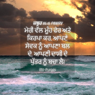 Picture 04 - ਜ਼ਬੂਰ 86:16 PANIRV - ਮੇਰੀ ਵੱਲ ਮੂੰਹ ਫੇਰ - Bible Verse Picture