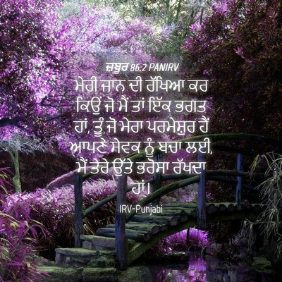 Picture 04 - ਜ਼ਬੂਰ 86:2 PANIRV - ਮੇਰੀ ਜਾਨ ਦੀ ਰੱਖਿਆ - Bible Verse Picture