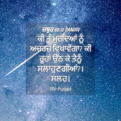 Picture 04 - ਜ਼ਬੂਰ 88:10 PANIRV - ਕੀ ਤੂੰ ਮੁਰਦਿਆਂ ਨੂੰ - Bible Verse Picture
