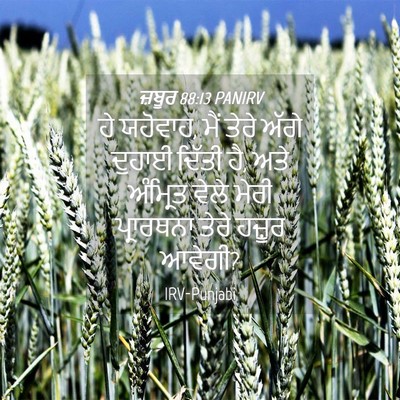 Picture 04 - ਜ਼ਬੂਰ 88:13 PANIRV - ਹੇ ਯਹੋਵਾਹ, ਮੈਂ ਤੇਰੇ - Bible Verse Picture